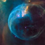 The Implicate Order of Natural Intelligence