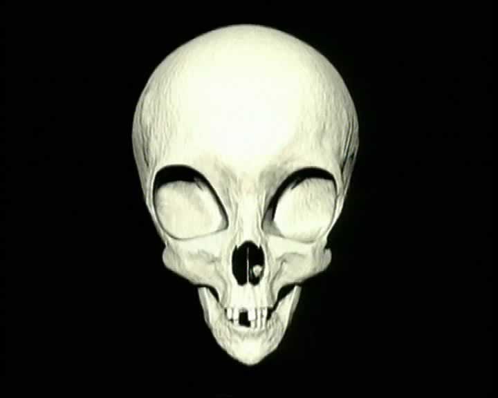 Alien Head Reconstruction 1